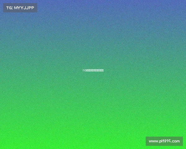 nb八一常规赛什么时候开始